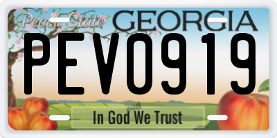 GA license plate PEV0919