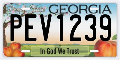 GA license plate PEV1239