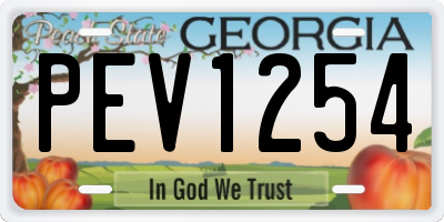GA license plate PEV1254