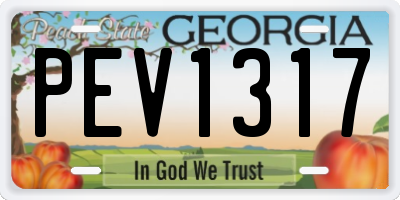 GA license plate PEV1317