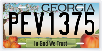 GA license plate PEV1375