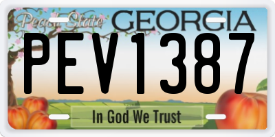 GA license plate PEV1387