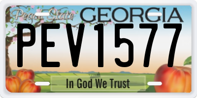 GA license plate PEV1577