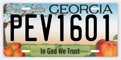 GA license plate PEV1601