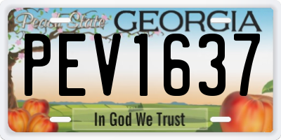 GA license plate PEV1637