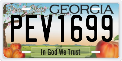 GA license plate PEV1699