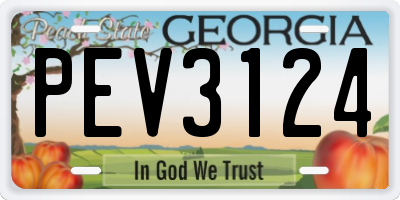 GA license plate PEV3124