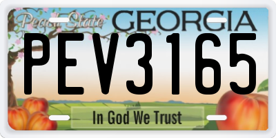 GA license plate PEV3165