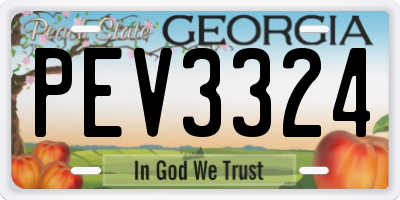 GA license plate PEV3324