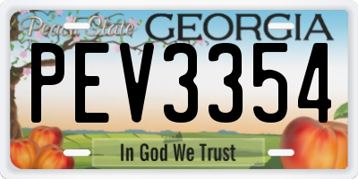GA license plate PEV3354