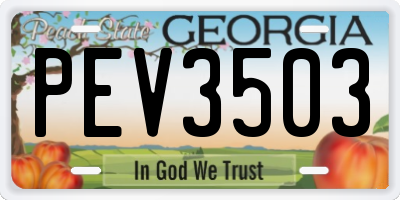 GA license plate PEV3503