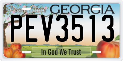 GA license plate PEV3513