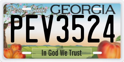 GA license plate PEV3524