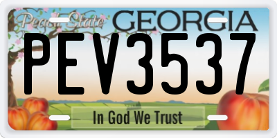 GA license plate PEV3537