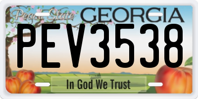 GA license plate PEV3538