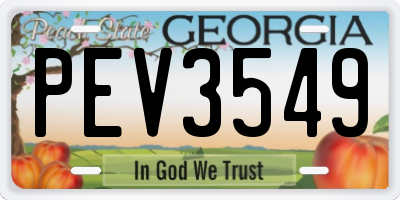 GA license plate PEV3549