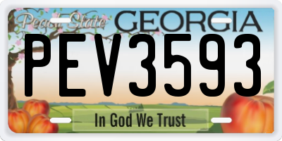 GA license plate PEV3593