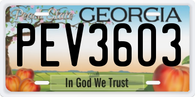 GA license plate PEV3603