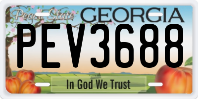 GA license plate PEV3688