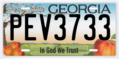 GA license plate PEV3733