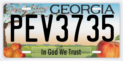 GA license plate PEV3735
