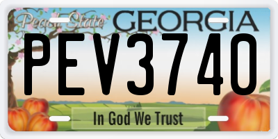 GA license plate PEV3740