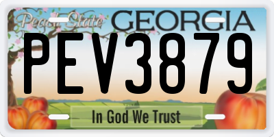GA license plate PEV3879