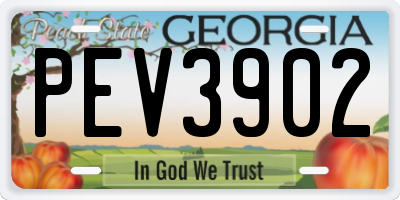 GA license plate PEV3902