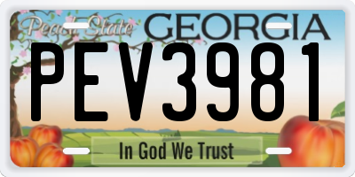 GA license plate PEV3981