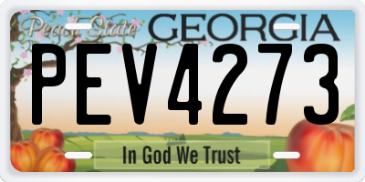 GA license plate PEV4273