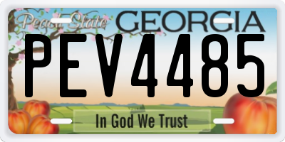 GA license plate PEV4485