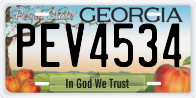 GA license plate PEV4534