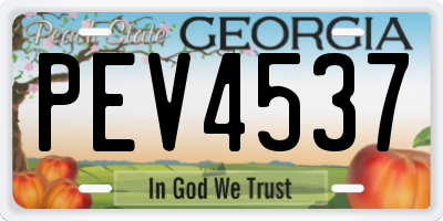 GA license plate PEV4537