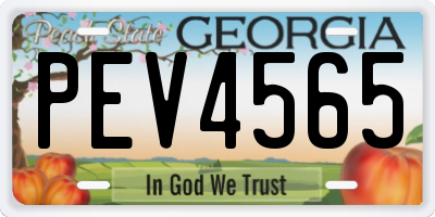 GA license plate PEV4565