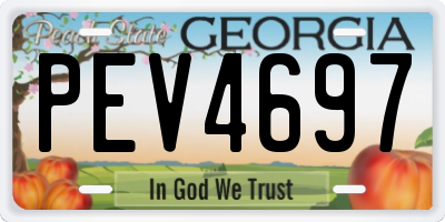 GA license plate PEV4697