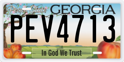 GA license plate PEV4713