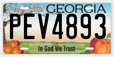 GA license plate PEV4893