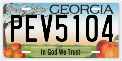 GA license plate PEV5104