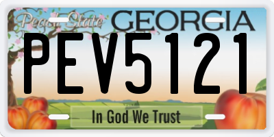 GA license plate PEV5121