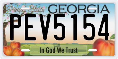 GA license plate PEV5154