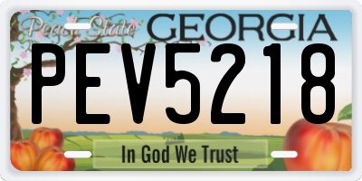 GA license plate PEV5218