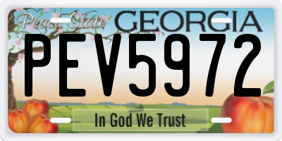 GA license plate PEV5972