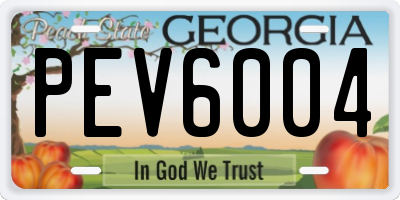 GA license plate PEV6004