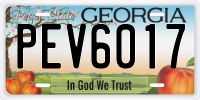 GA license plate PEV6017