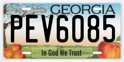 GA license plate PEV6085