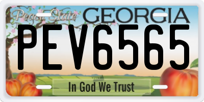 GA license plate PEV6565