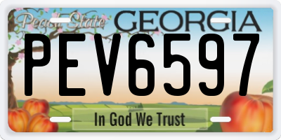 GA license plate PEV6597