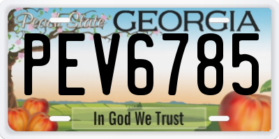 GA license plate PEV6785