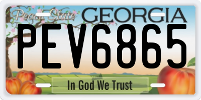 GA license plate PEV6865
