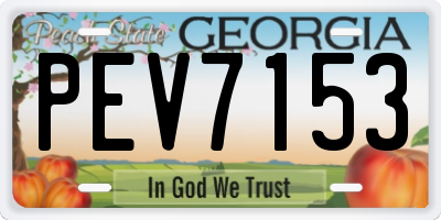 GA license plate PEV7153